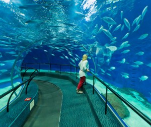 Shanghai Oceaan Aquarium